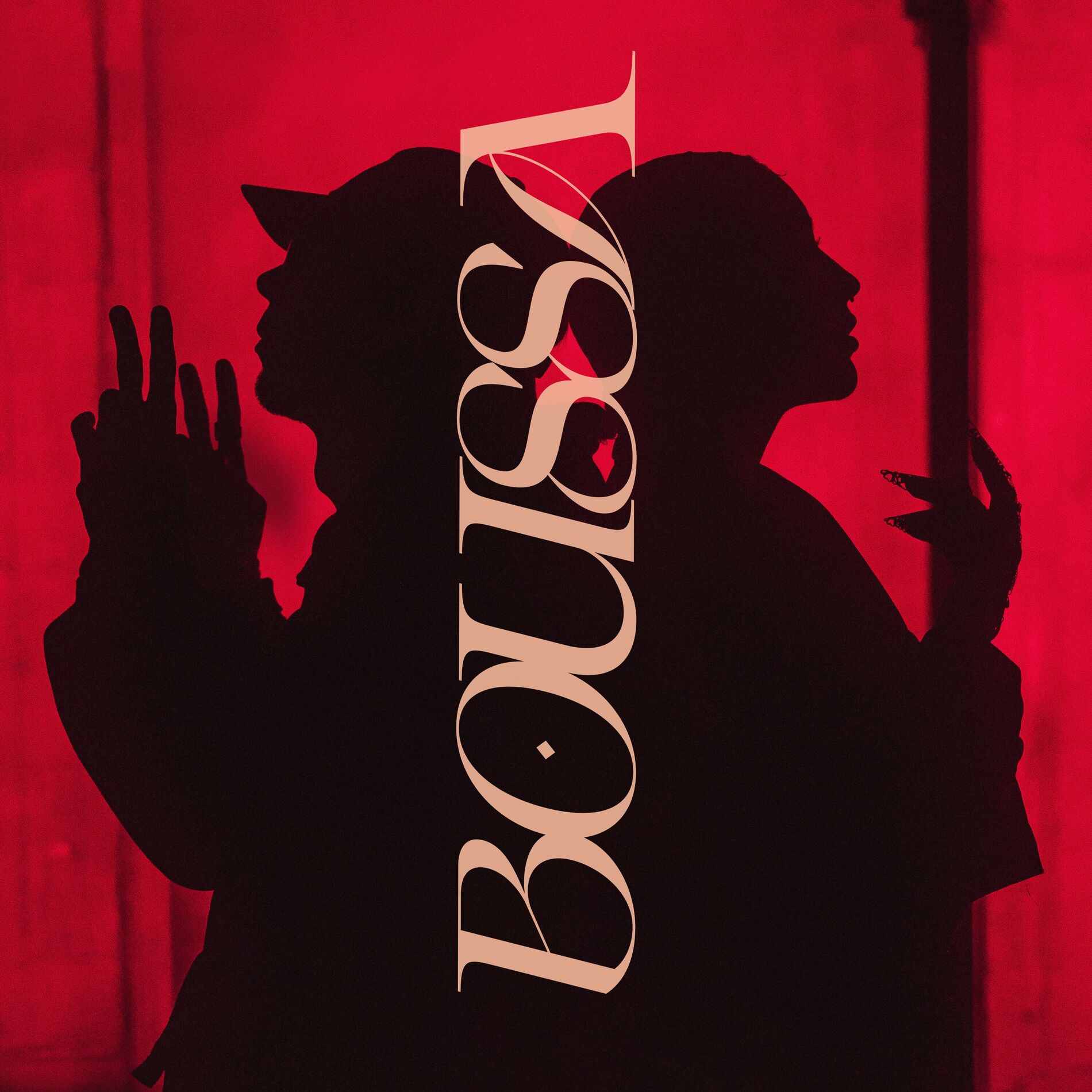Album cover of Boussa