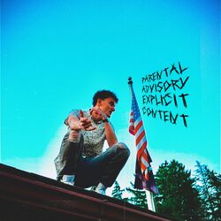 Cover of The Sober Joker