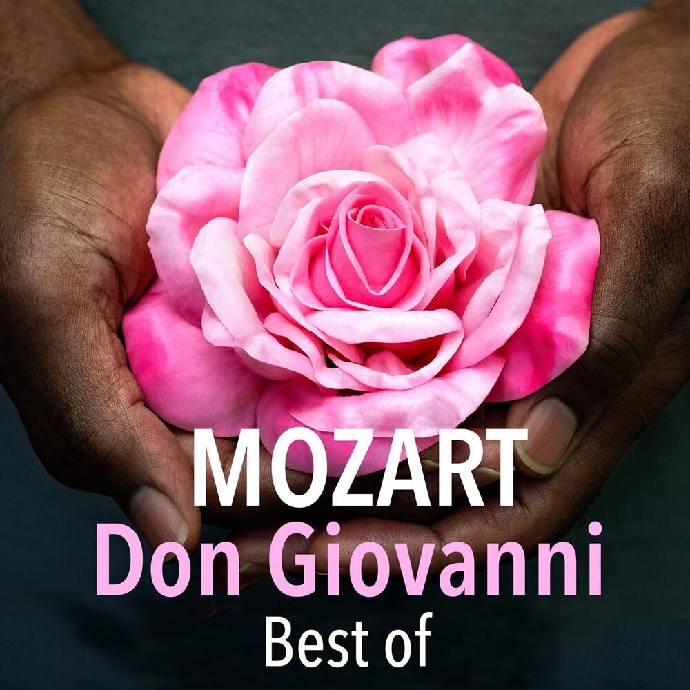 Picture of Don Giovanni - Best Of