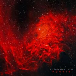 Cover of Pushin'