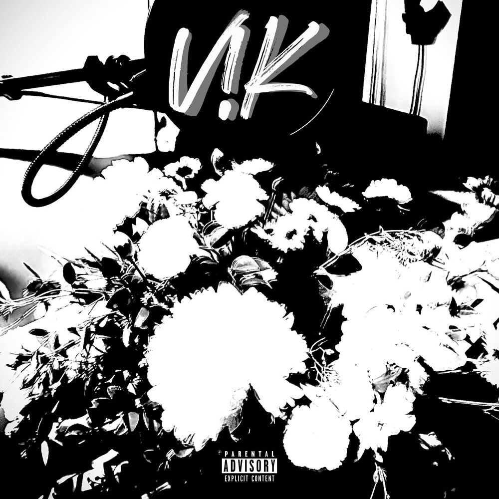 Picture of V ! K