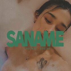 Cover of Saname