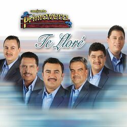 Cover of Te Lloré