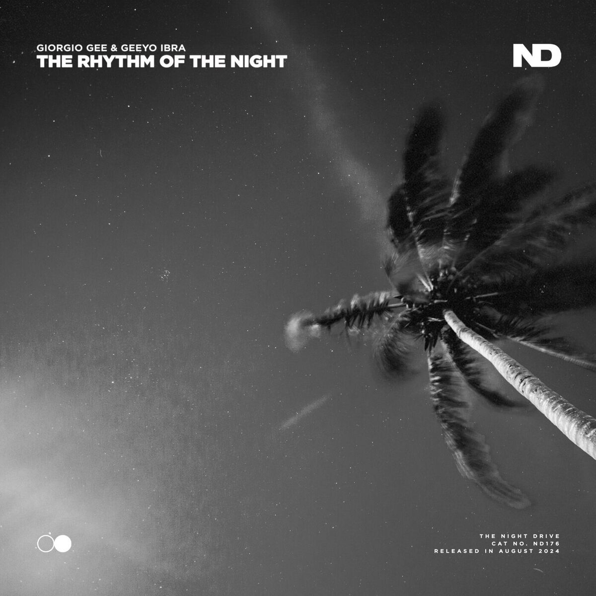 Album cover of The Rhythm of the Night