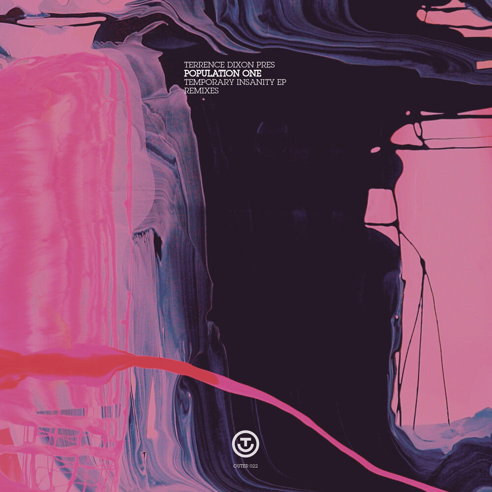 Picture of Temporary Insanity Remixes