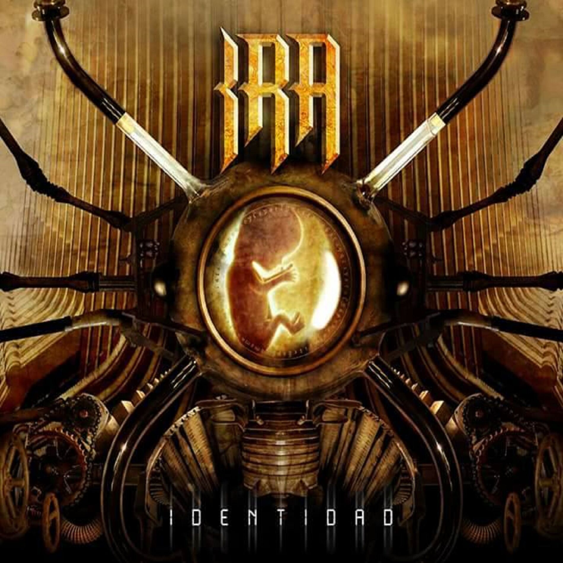 Album cover of Identidad