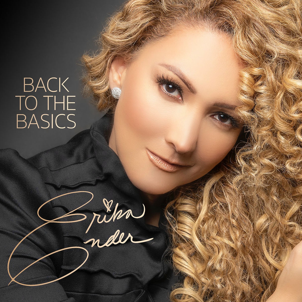 Album cover of Back to the Basics