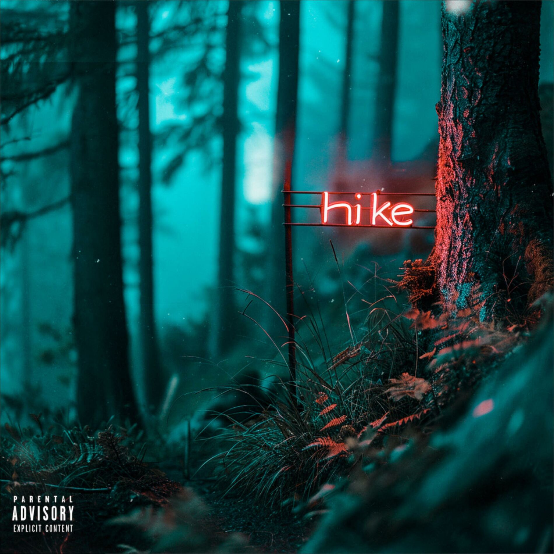 Album cover of Hike