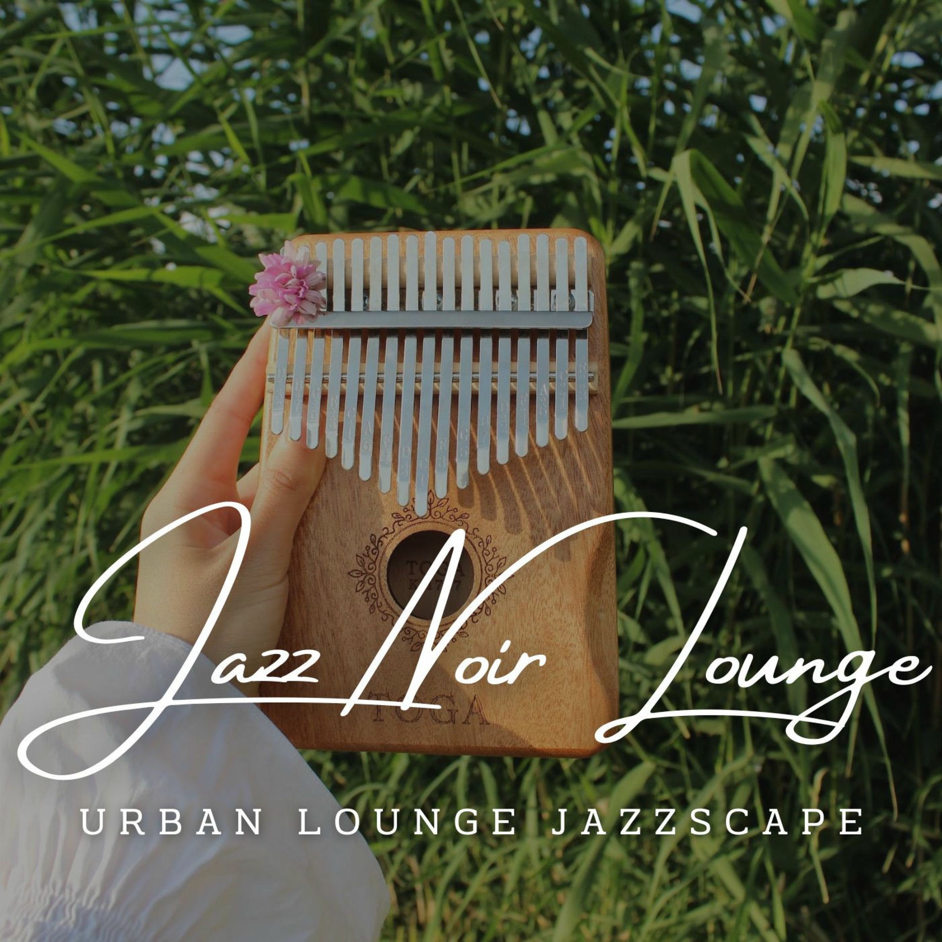 Album cover of Espresso Infused Grooves