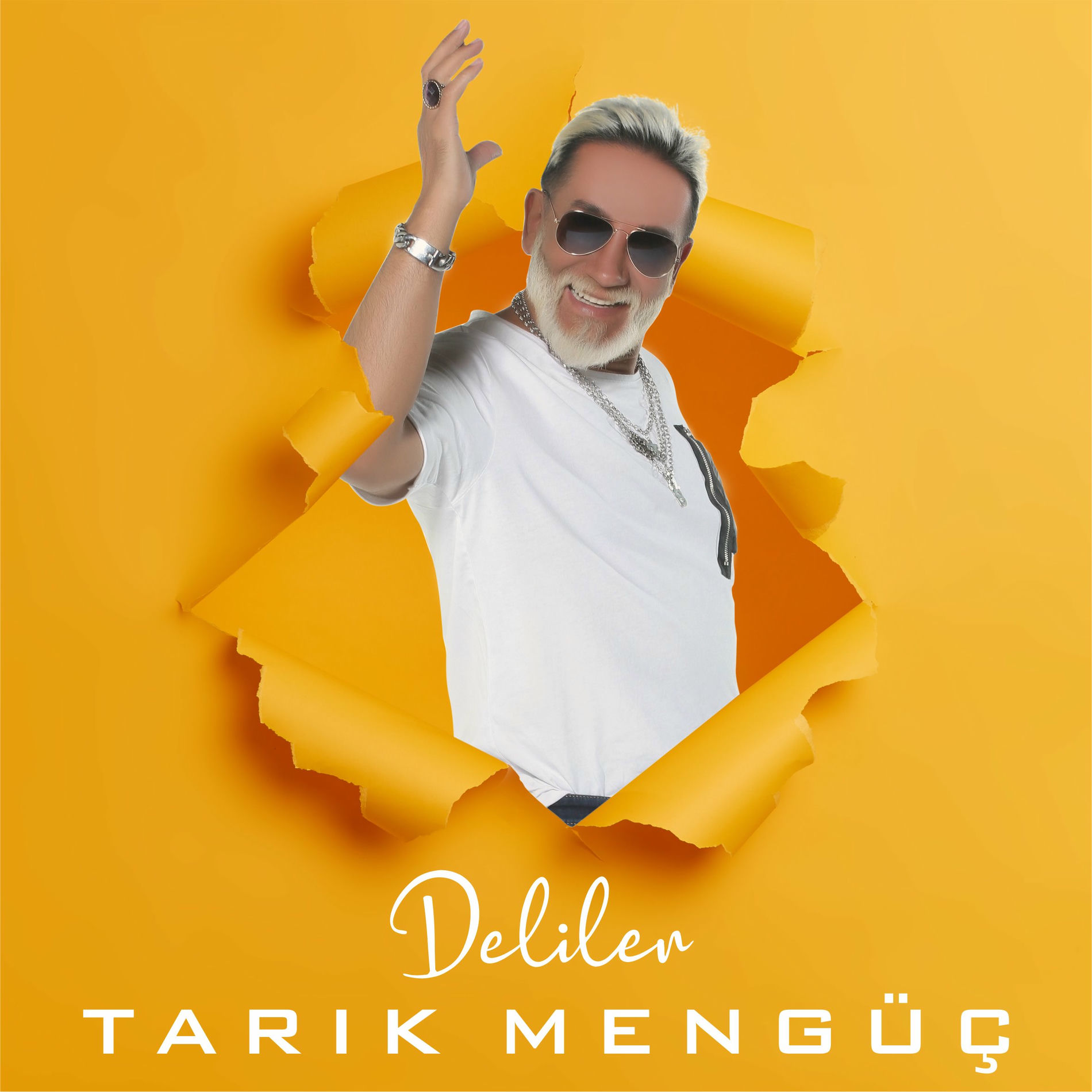 Album cover of Deliler