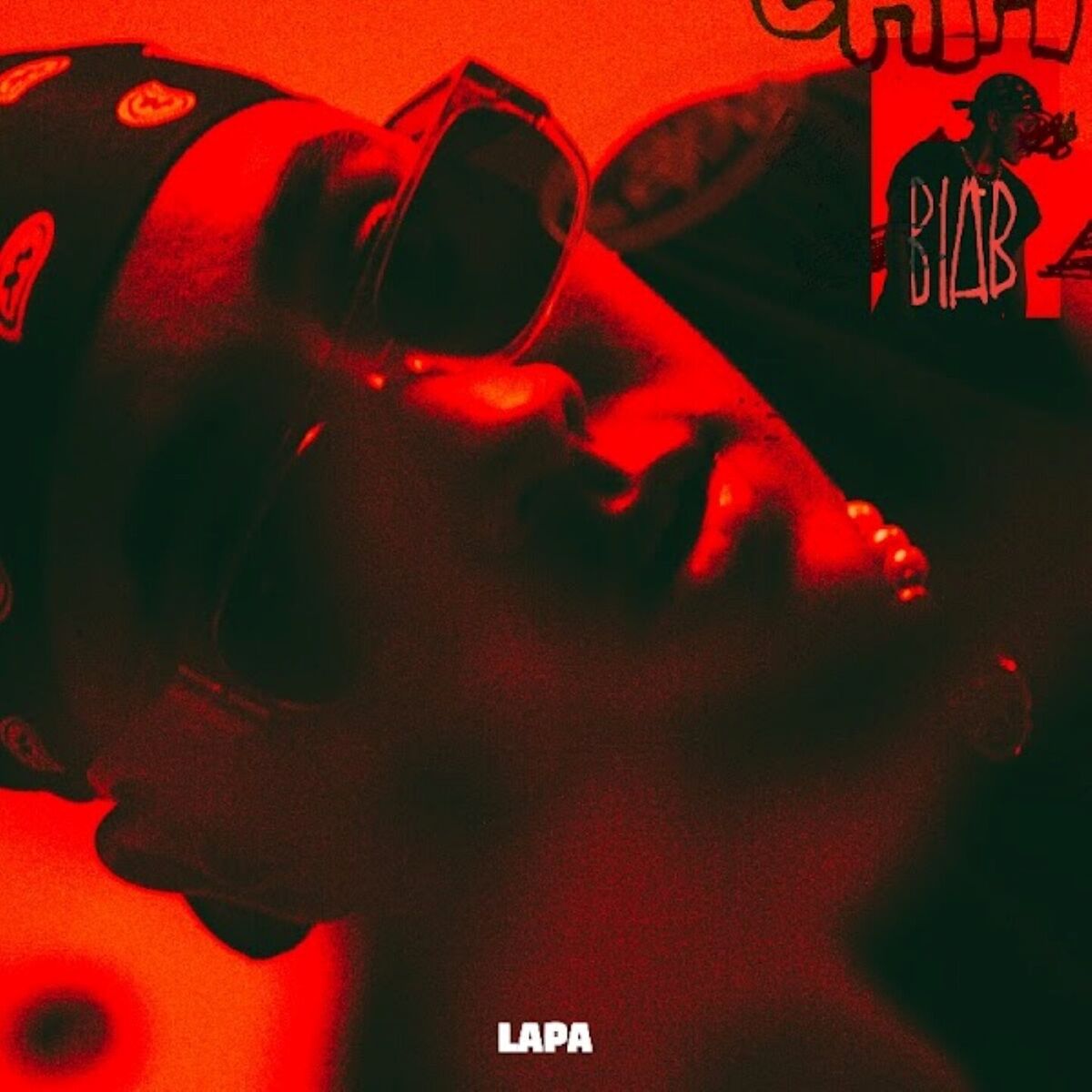 Album cover of LAPA
