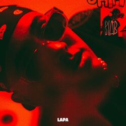 Cover of LAPA