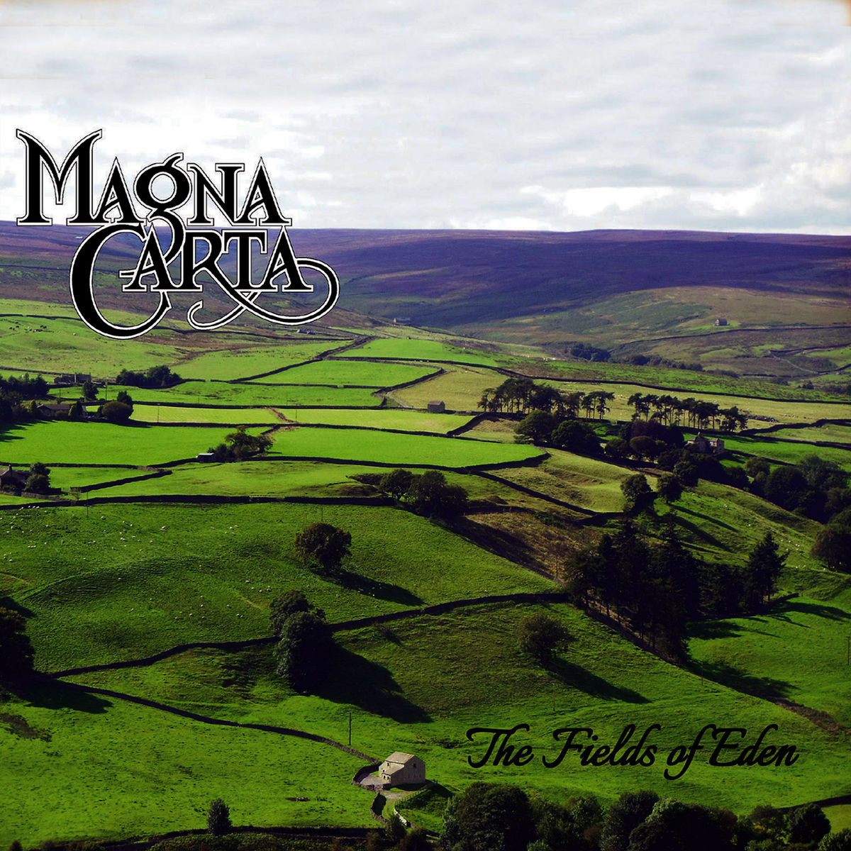 Album cover of Long Time Running