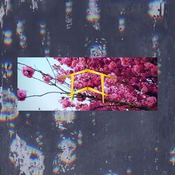 Cover of HOLD ME DOWN