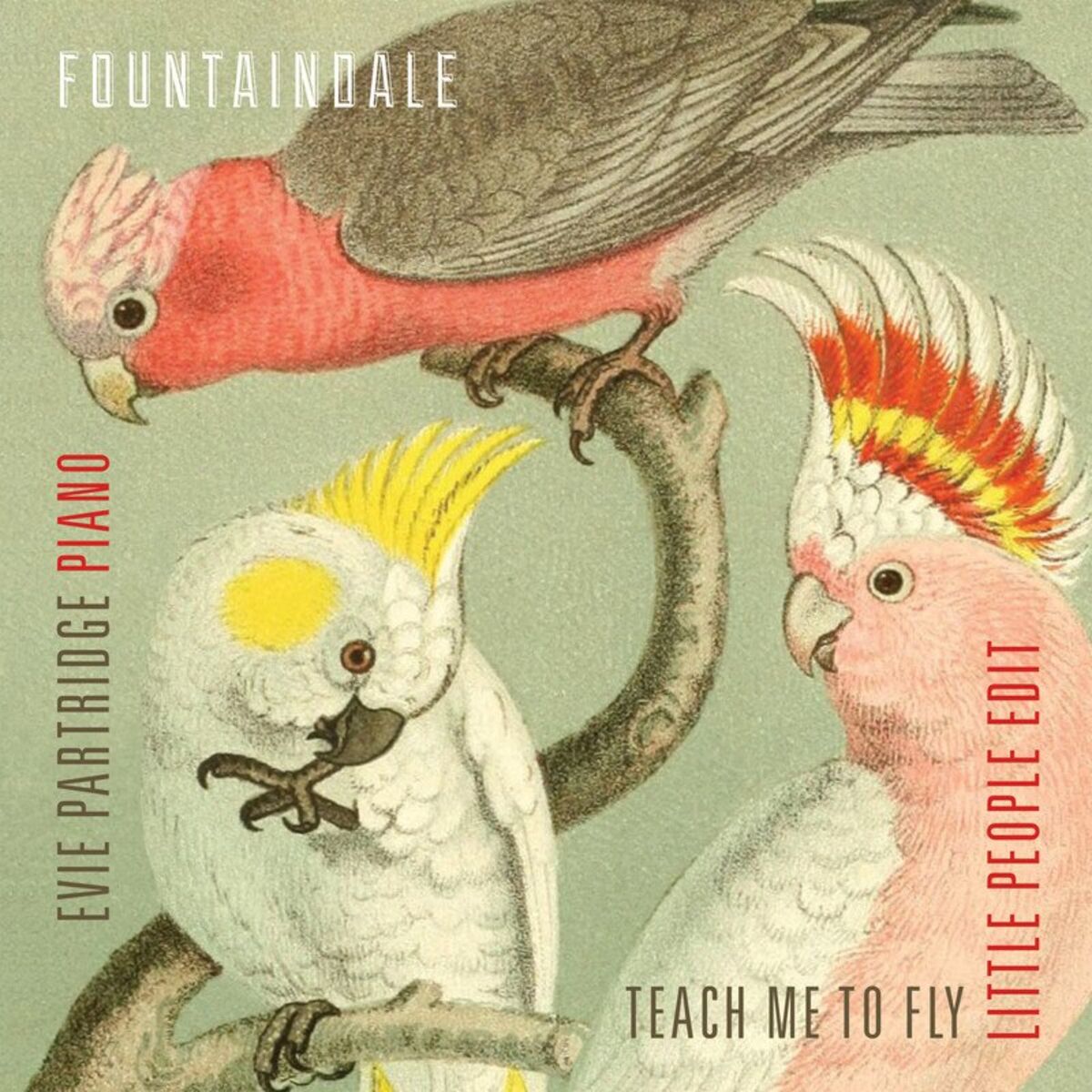 Album cover of Teach Me To Fly (Little People edit)