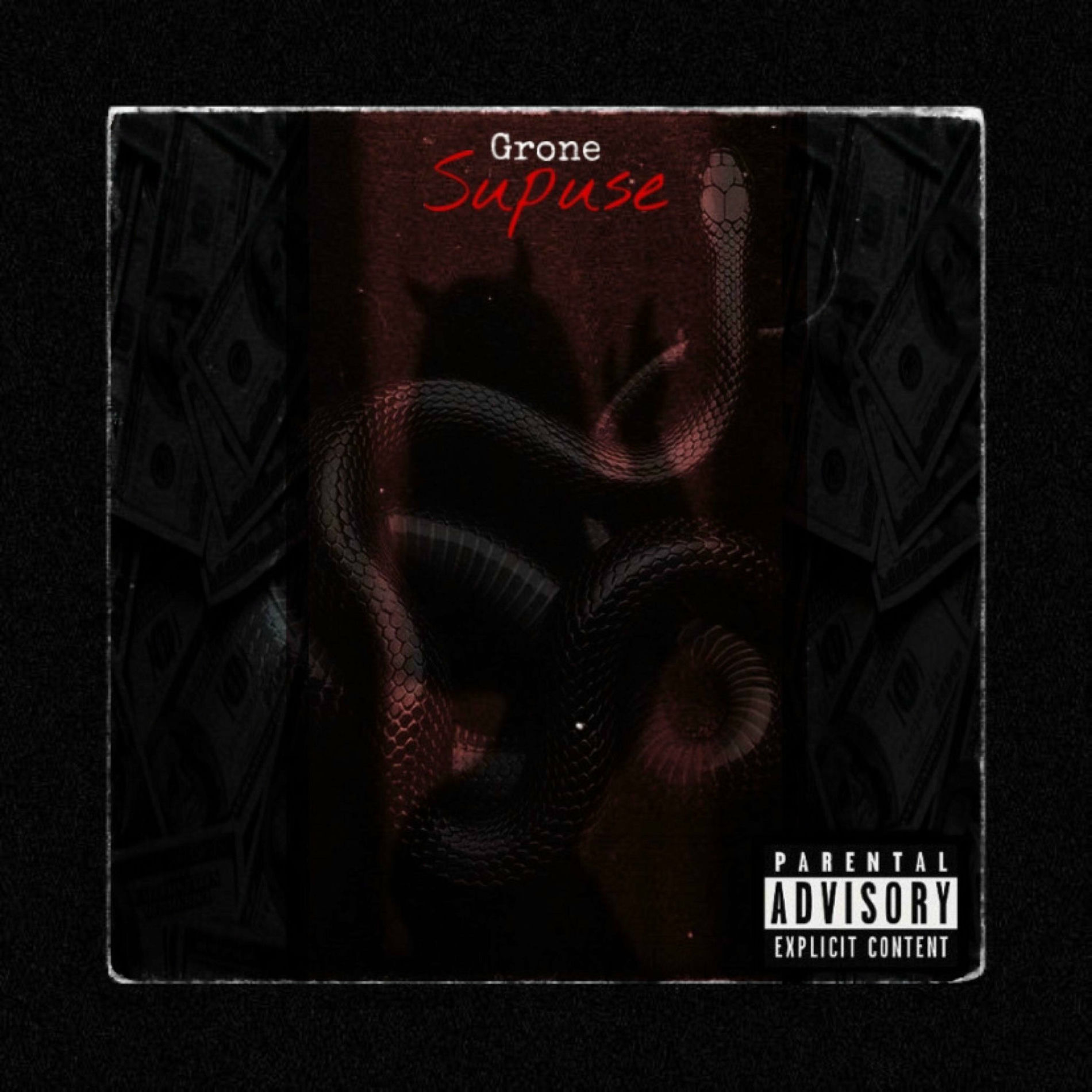 Album cover of Supuse