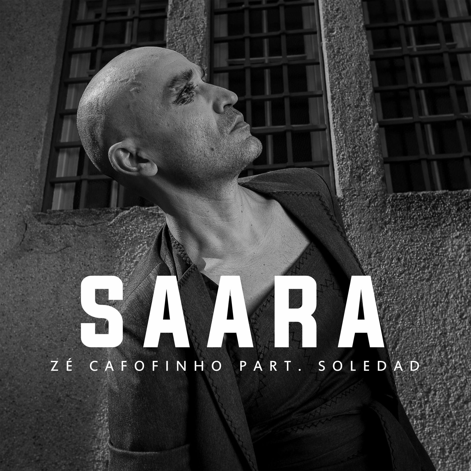 Album cover of Saara