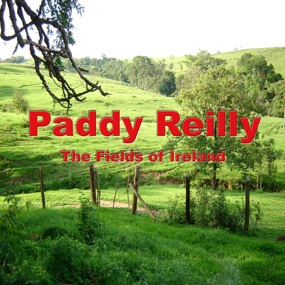 Picture of The Fields of Ireland
