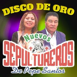 Cover of Disco de Oro