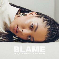 Cover of Blame