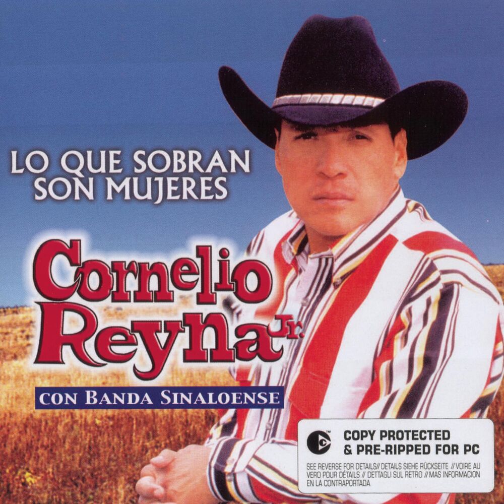 Picture of Lo Que Sobran Son Mujeres
