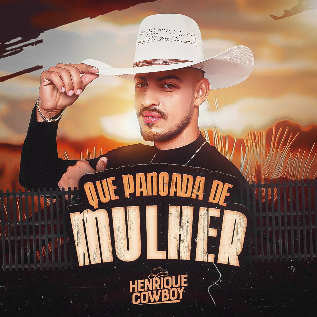 Album cover of Que Pancada de Mulher