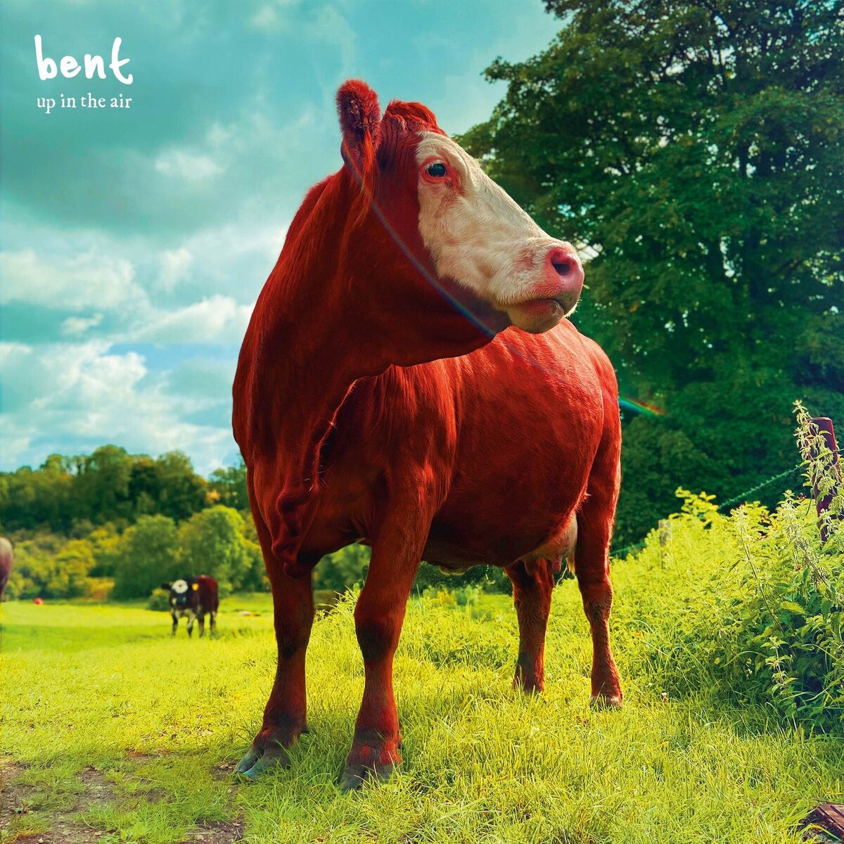 Album cover of Up in the Air