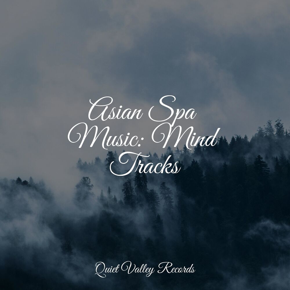 Picture of Asian Spa Music: Mind Tracks