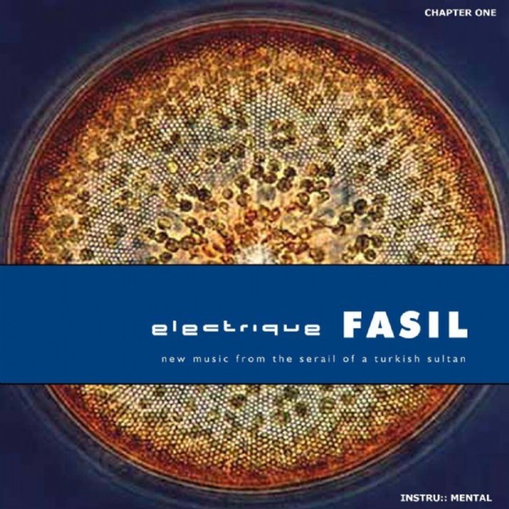 Picture of Electrique FASIL
