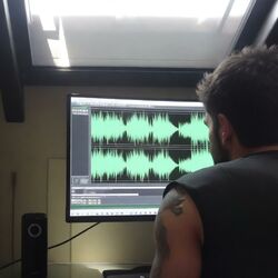 Cover of Waves