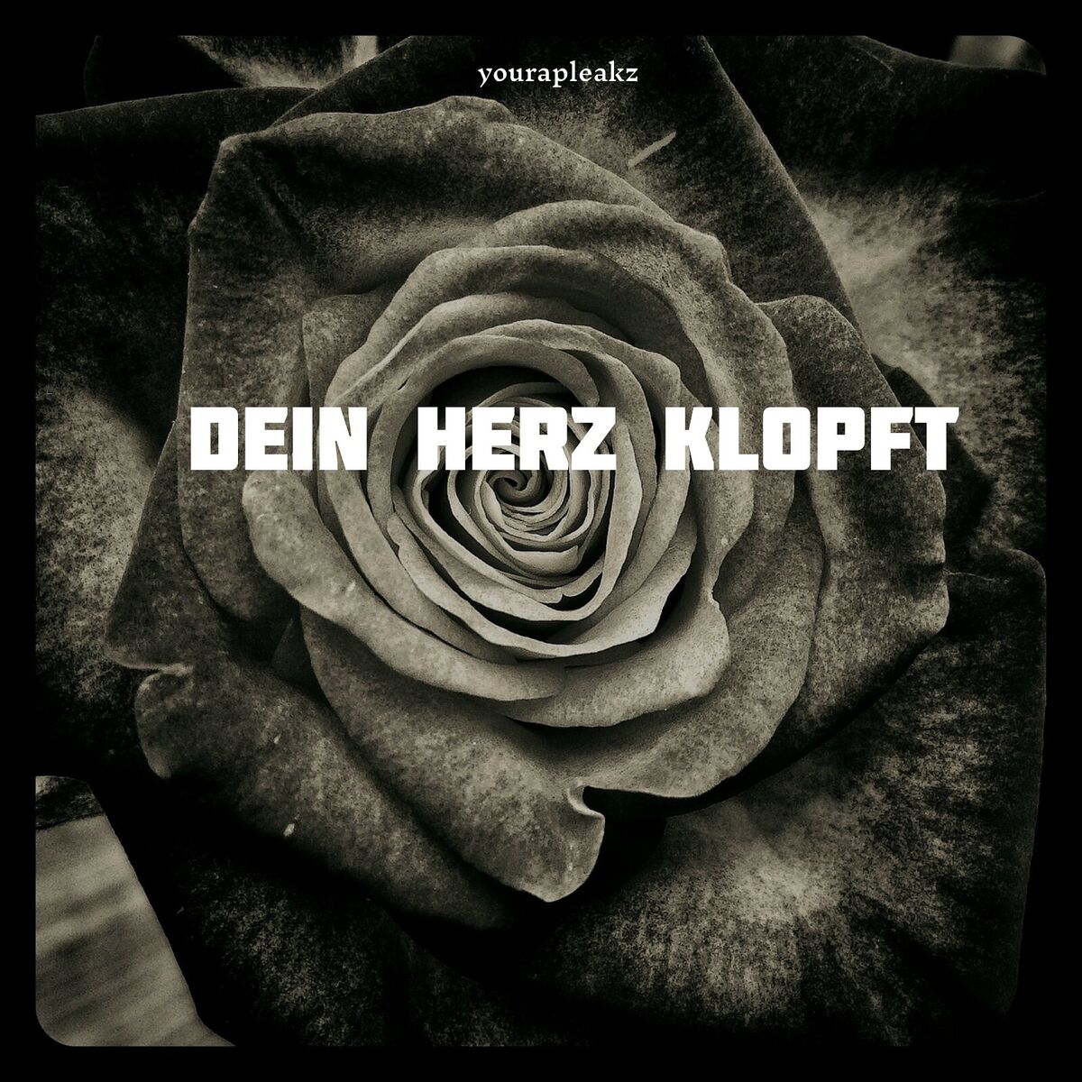 Album cover of Dein Herz Klopft