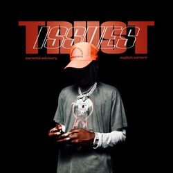 Cover of Trust Issues