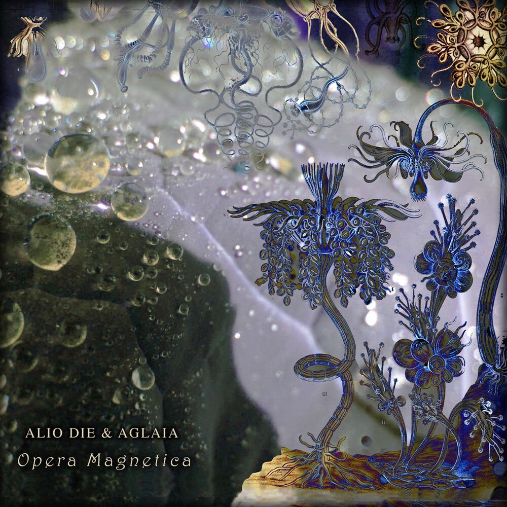Picture of Opera Magnetica