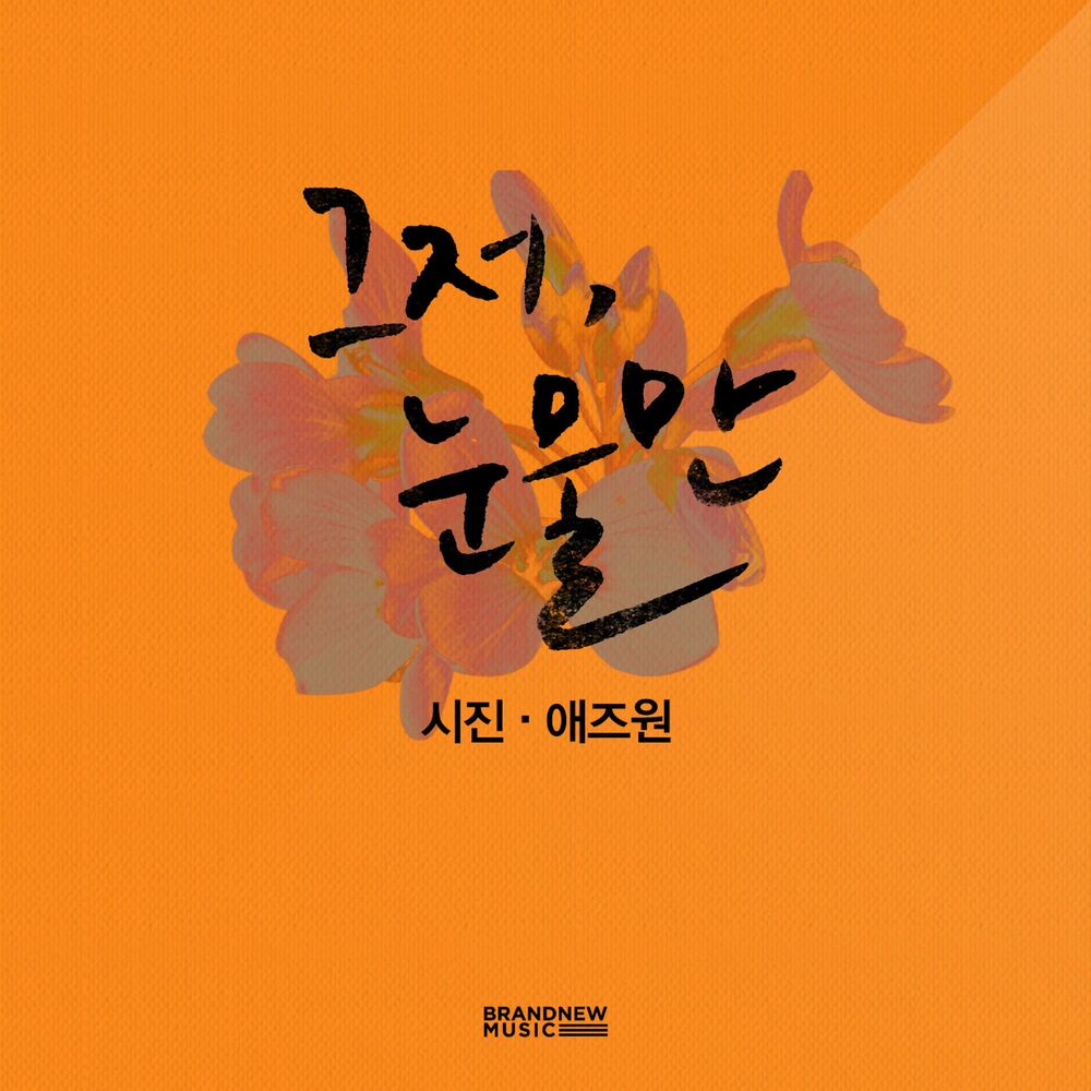 Picture of 그저 눈물만