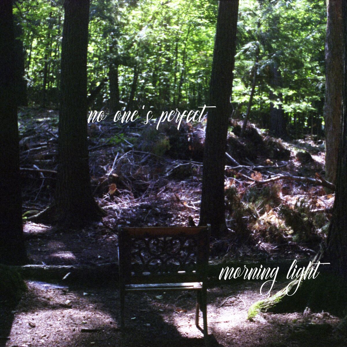 Album cover of Morning Light