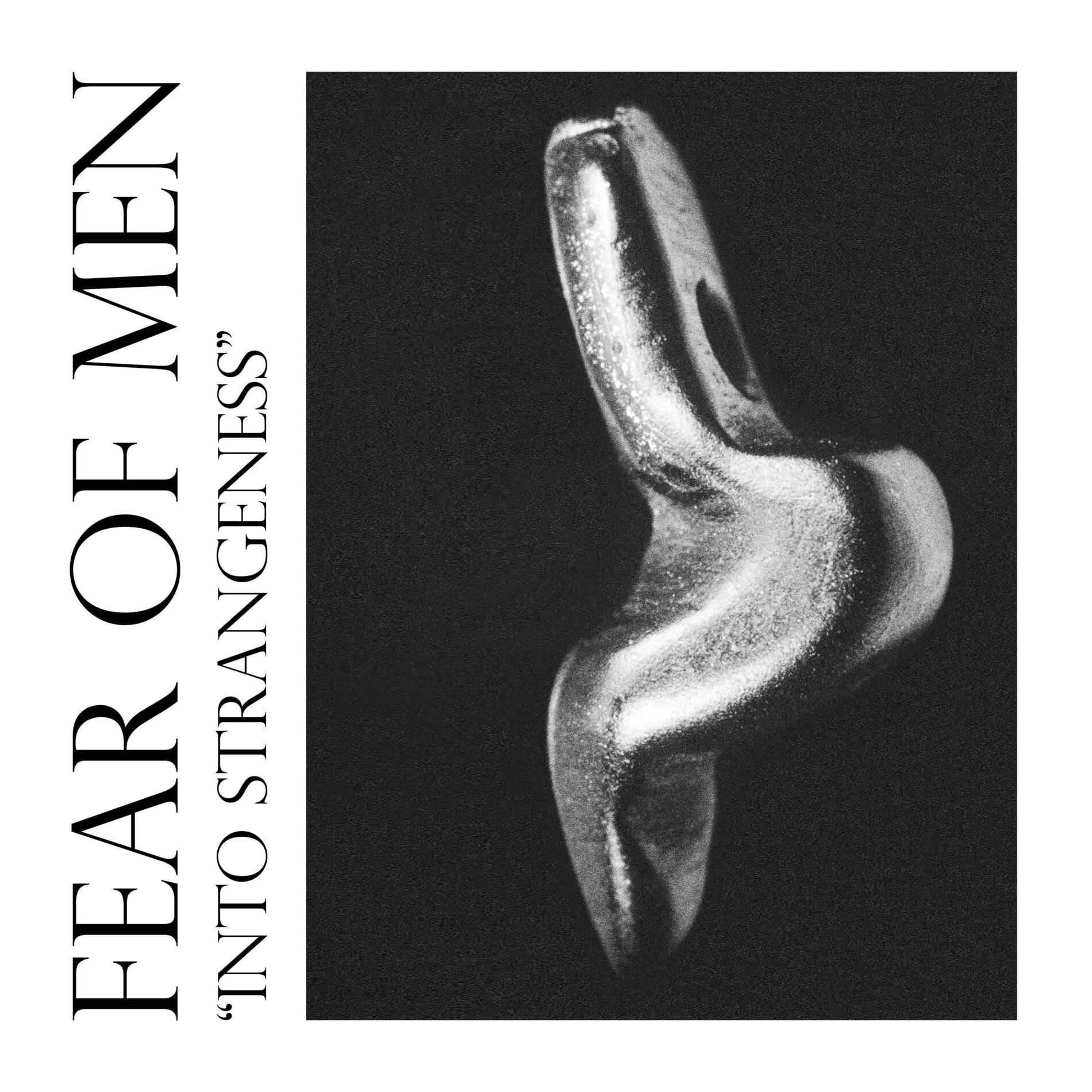 Album cover of Into Strangeness