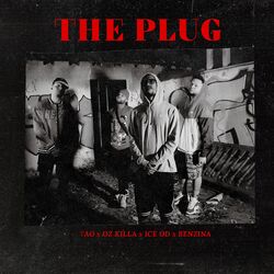 Cover of The Plug
