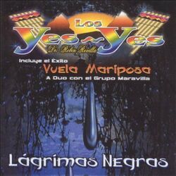 Cover of Lagrimas Negras