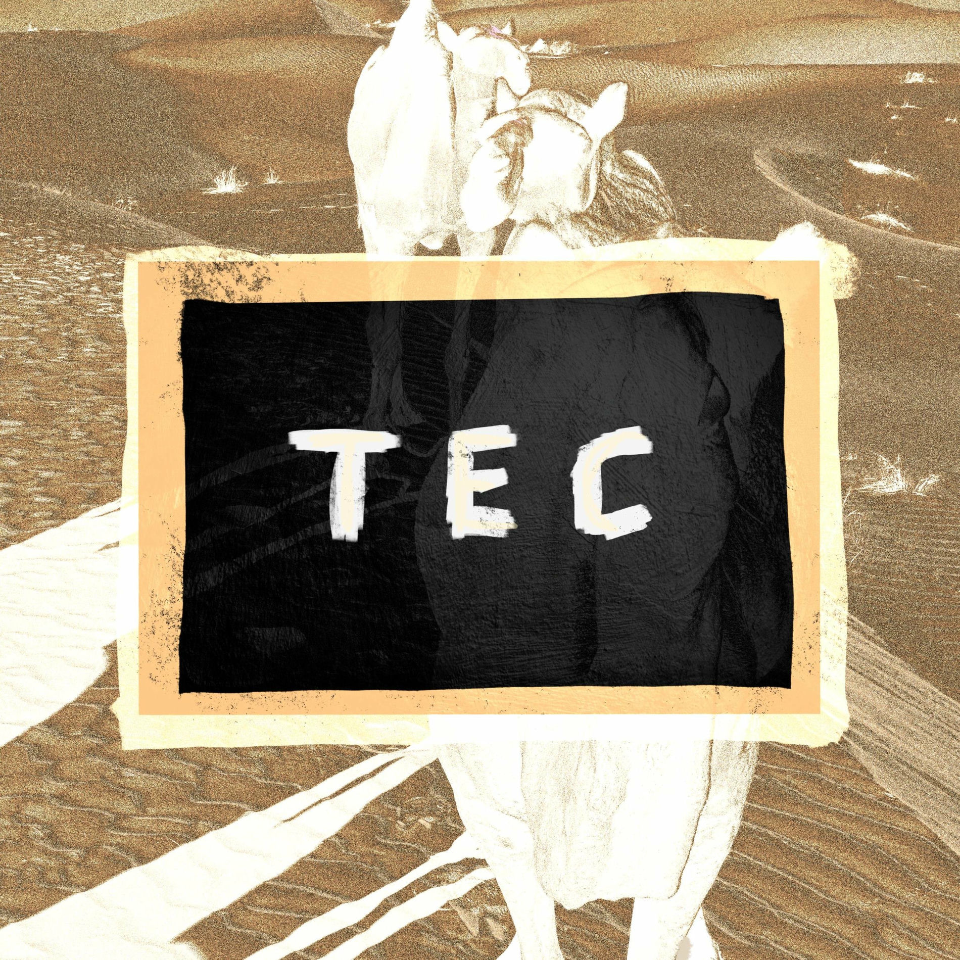 Album cover of Tec