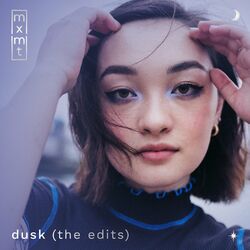 Cover of dusk (the edits)