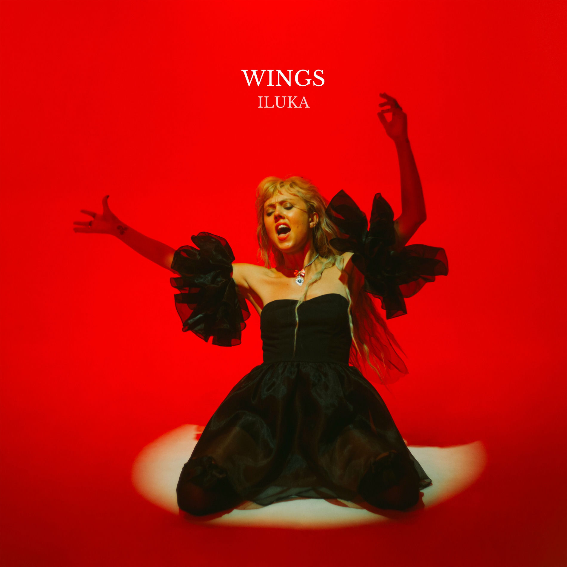 Album cover of Wings