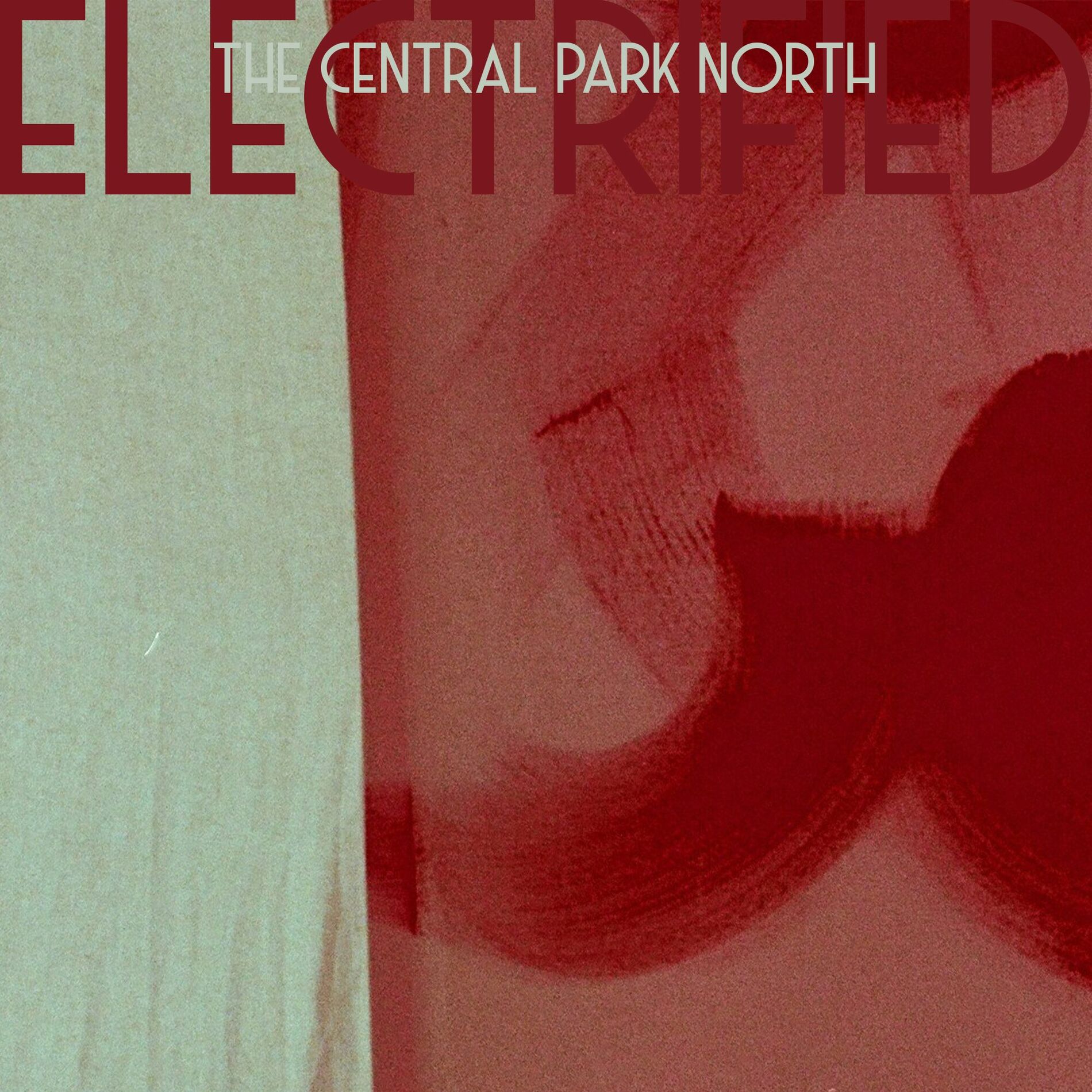Album cover of Electrified