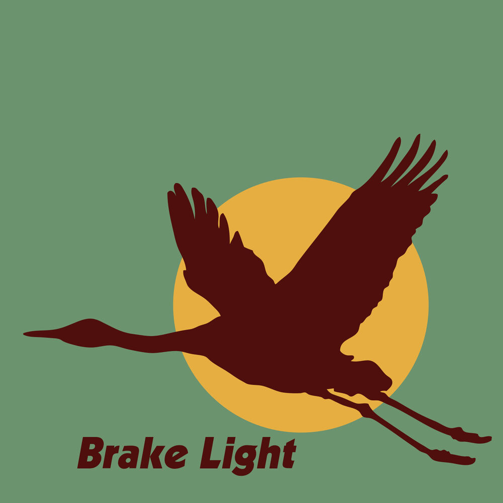 Picture of Brake Light