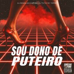 Sou Dono de Puteiro