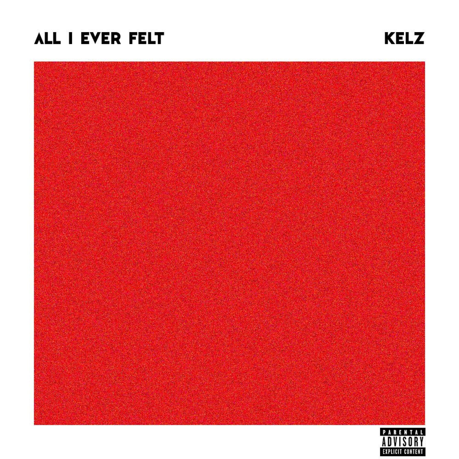 Album cover of All i ever felt