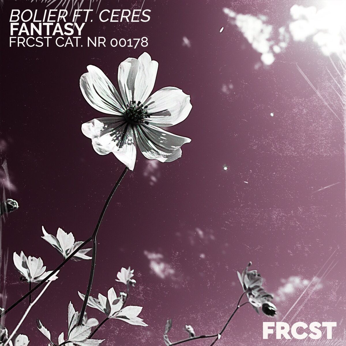Album cover of Fantasy