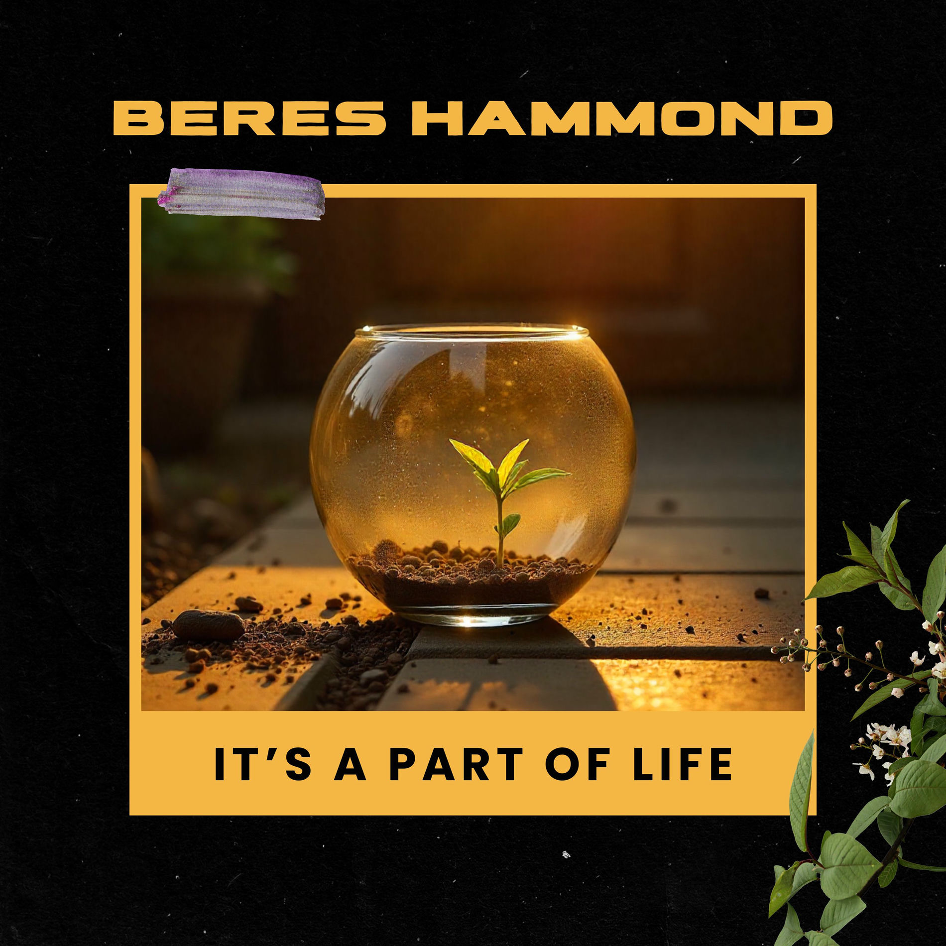 Album cover of It's a part of life