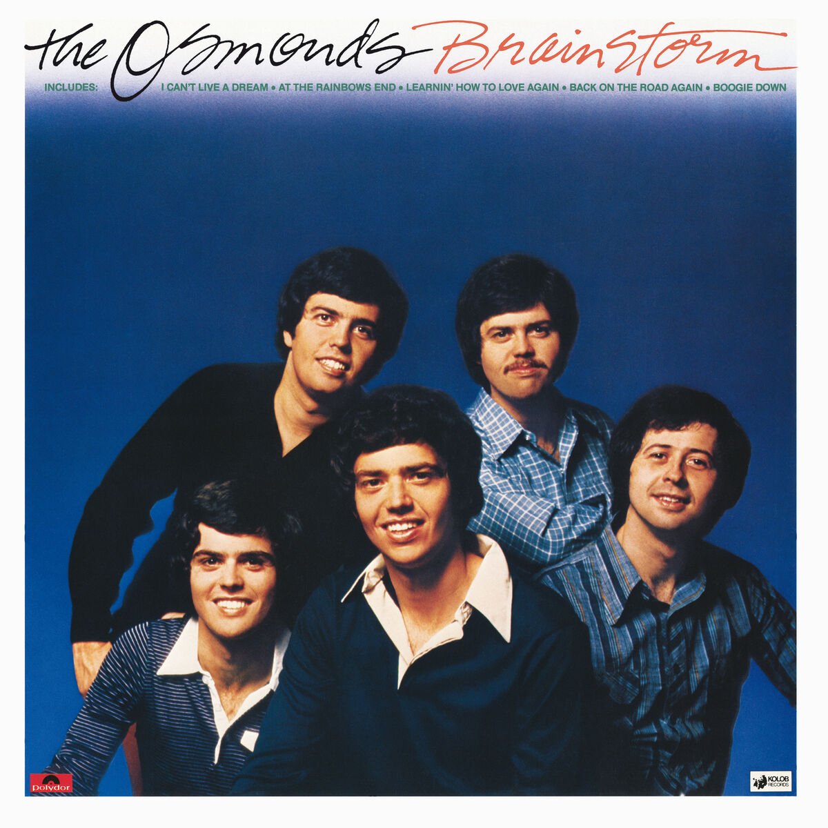 Album cover of Brainstorm