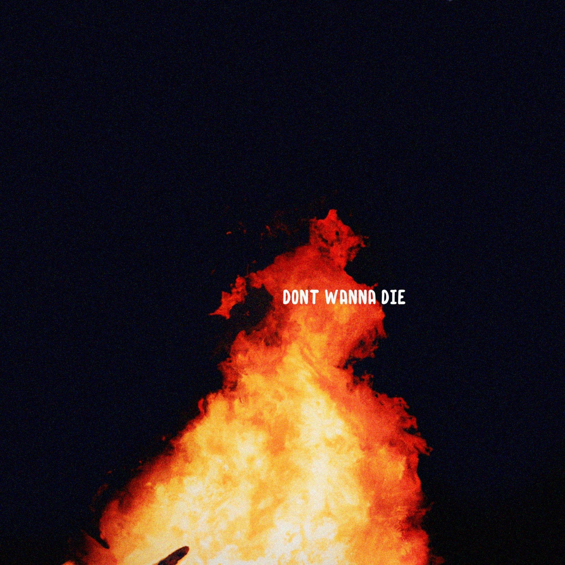 Album cover of Don't Wanna Die