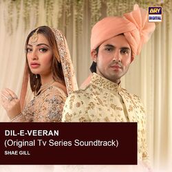Cover of Dil-E-Veeran (Original TV Series Soundtrack)